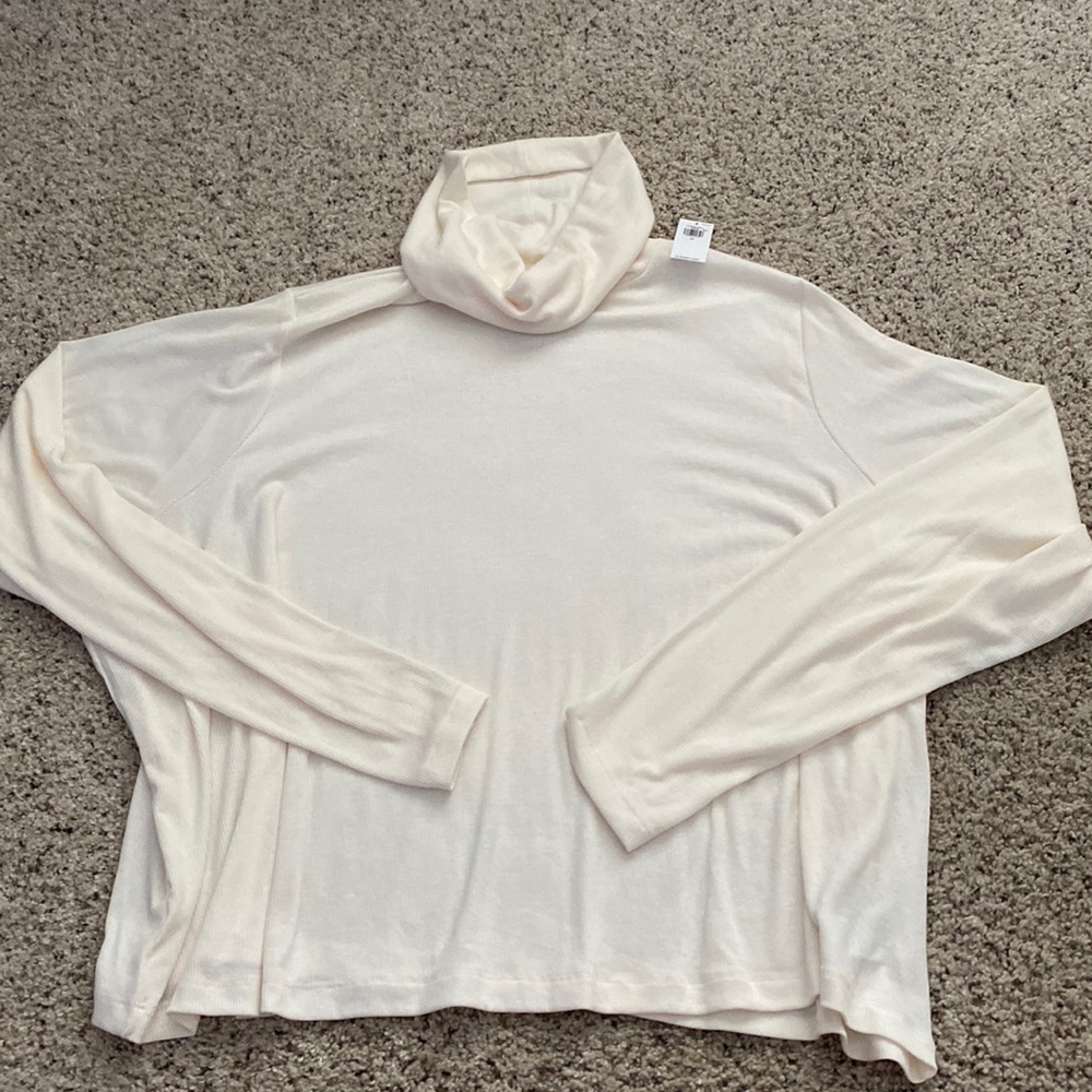 Cropped ribbed turtleneck